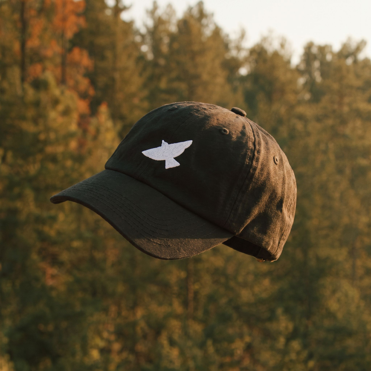 Free as a Bird cap photographed outdoors against autumn treetops in golden light