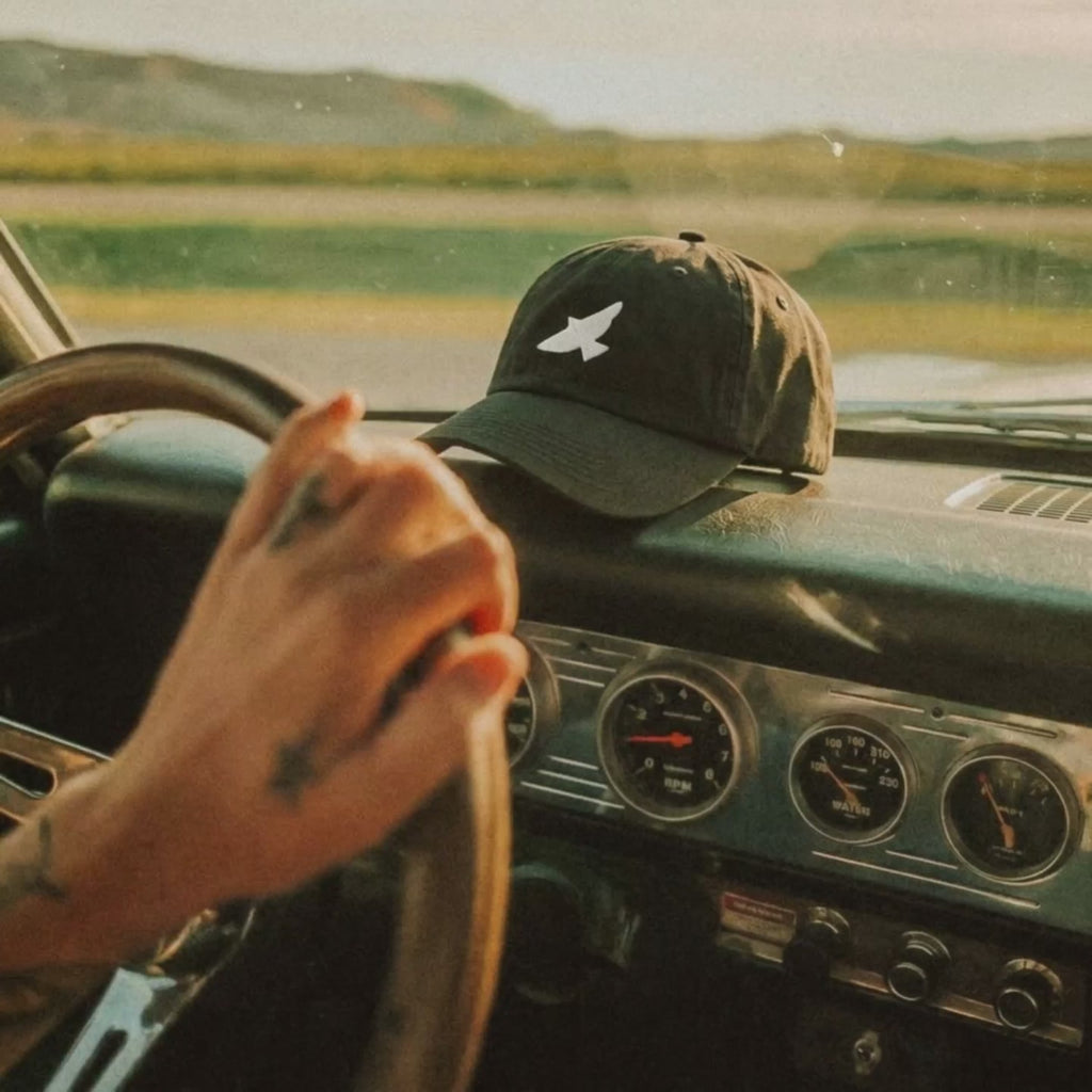 Video: a vintage car dashboard and open road with the Free as a Bird cap in shot